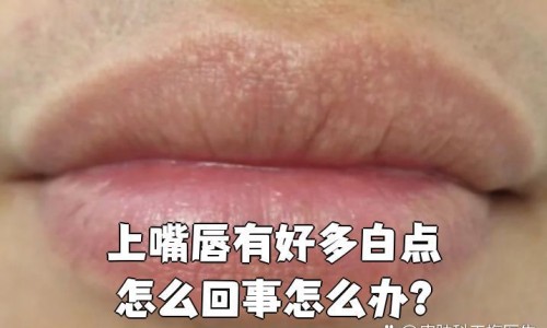 大乘丹收益最高地图、大乘正宗分 -大乘丹功效网