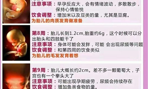 大乘丹收益最高地图、大乘正宗分 -大乘丹功效网